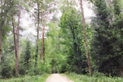 JW2015-001b_Therwil JW2015-001b_Therwil