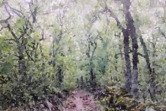 JW2015-046b_Varaire