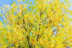 JW2015-058b_Herbst JW2015-058b_Herbst