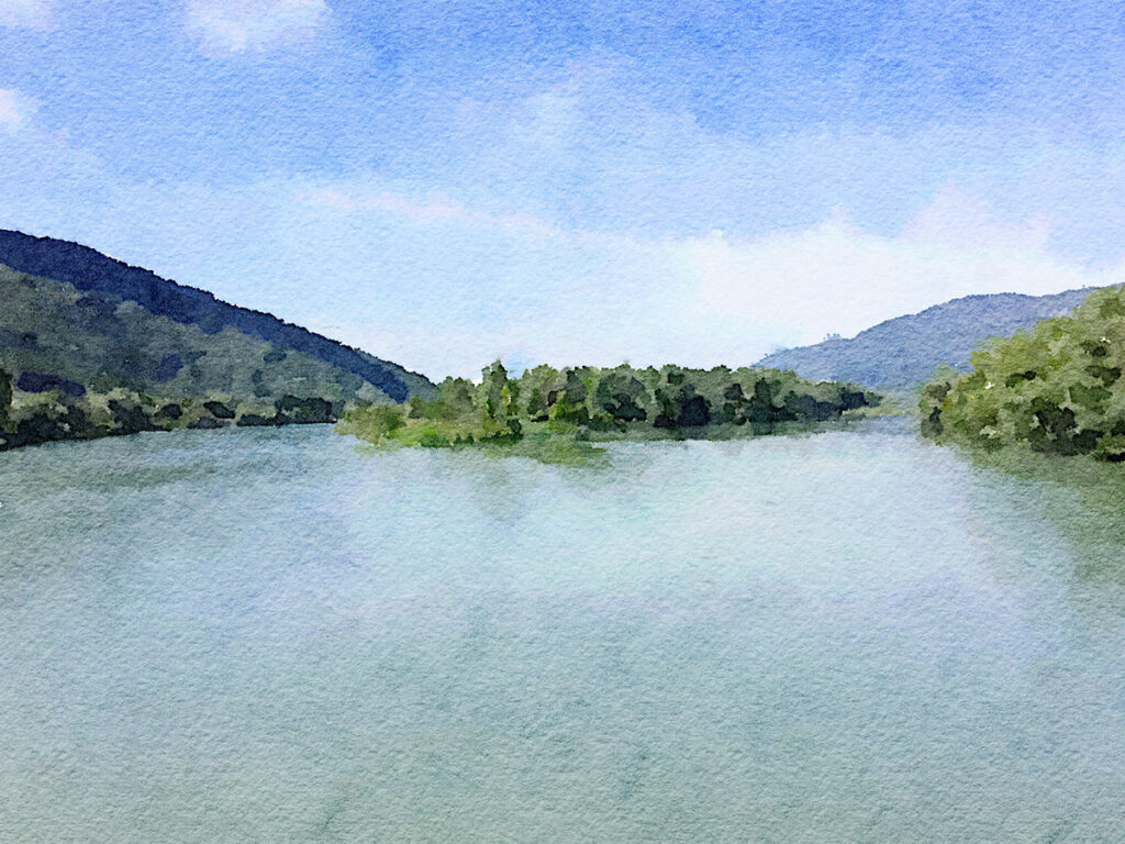 Blick von der Rhone-Brücke Pont de La Loi