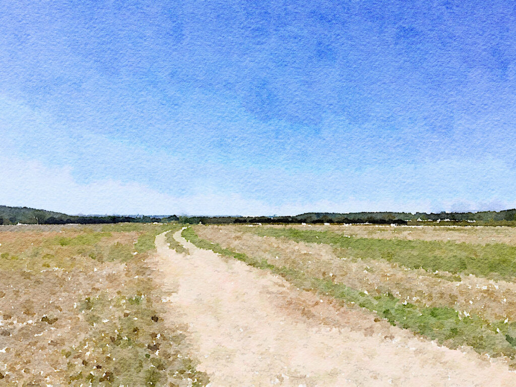 Von La Côte-Saint-André nach Revel-Tourdan