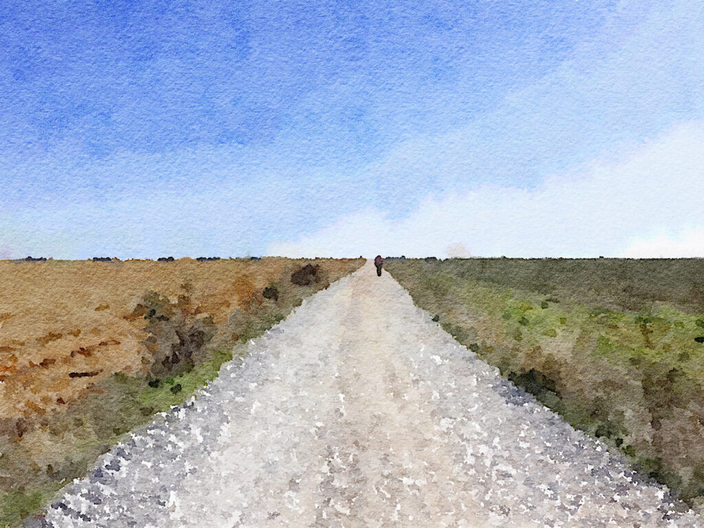 Auf dem Pilger-Highway in der Meseta