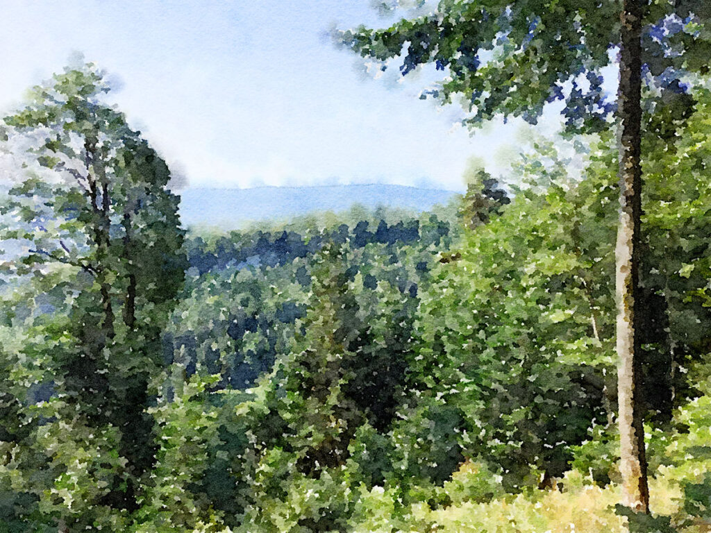 In den Hügeln von Dittingen