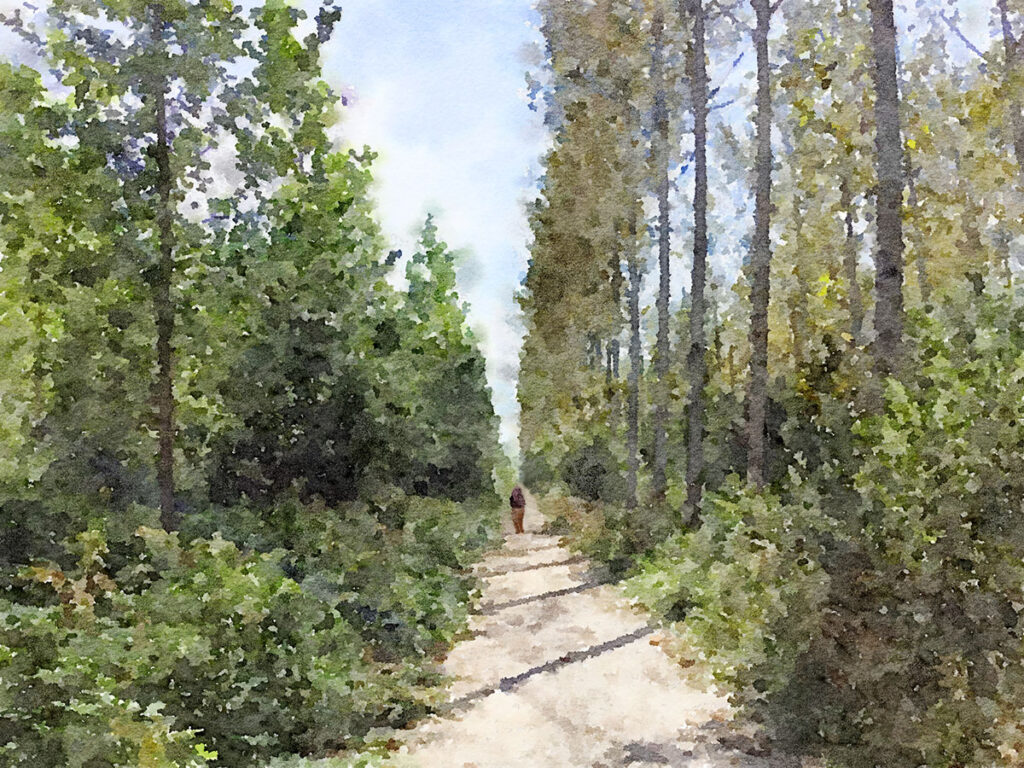 In den Wäldern von Serrières-en-Chautagne