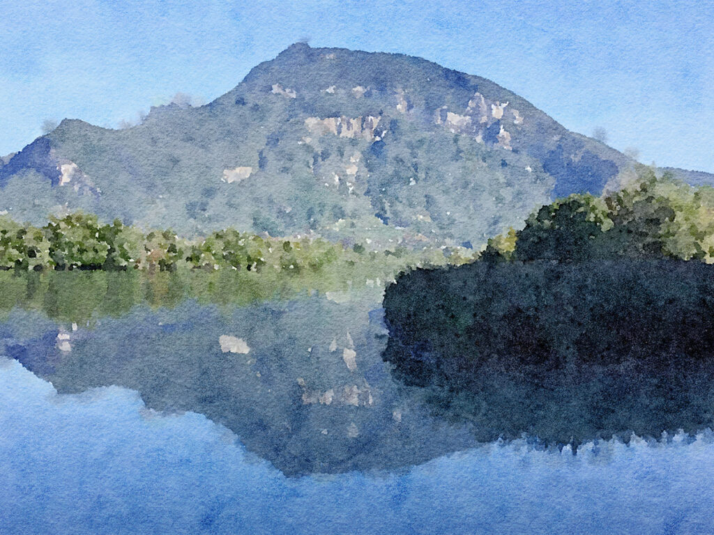 Die Rhone bei Vions