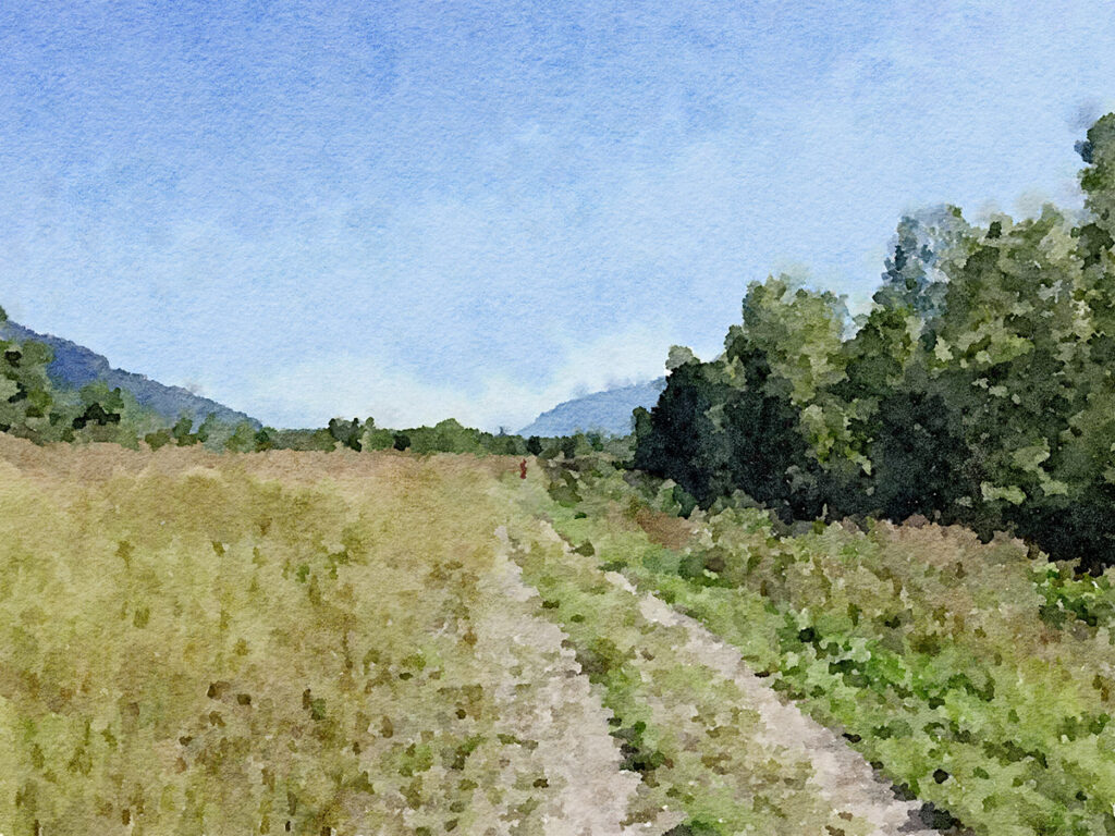 Jakobsweg in den Rhone-Auen