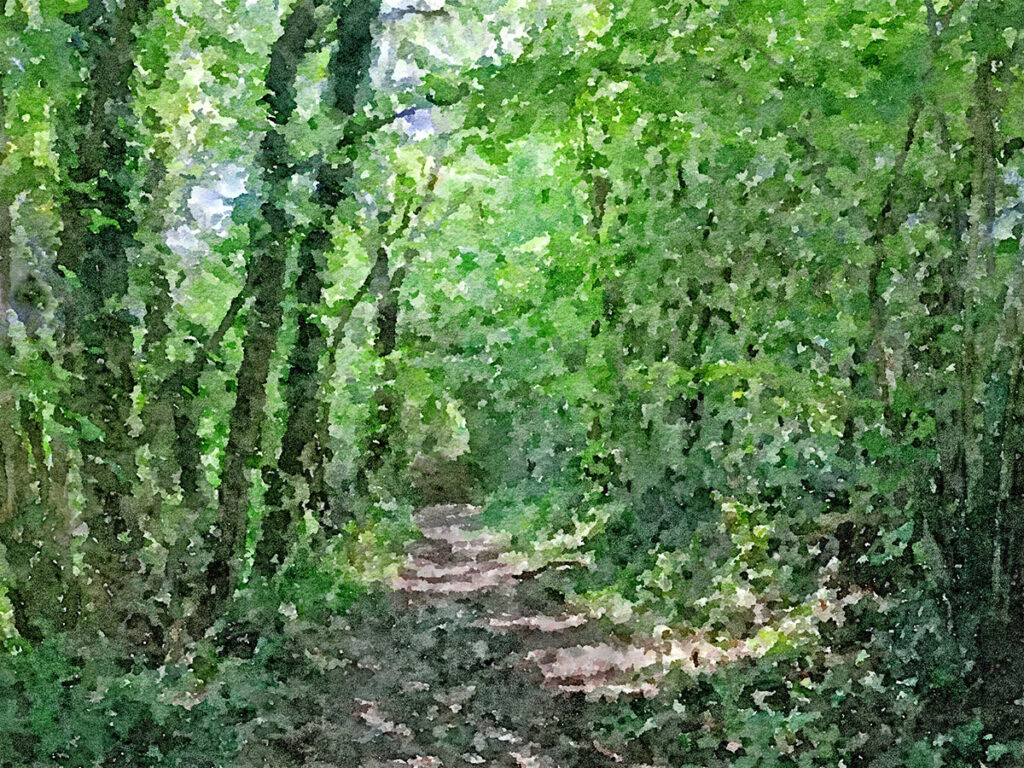 Im Wald Saint-Maurice-de-Rotherens