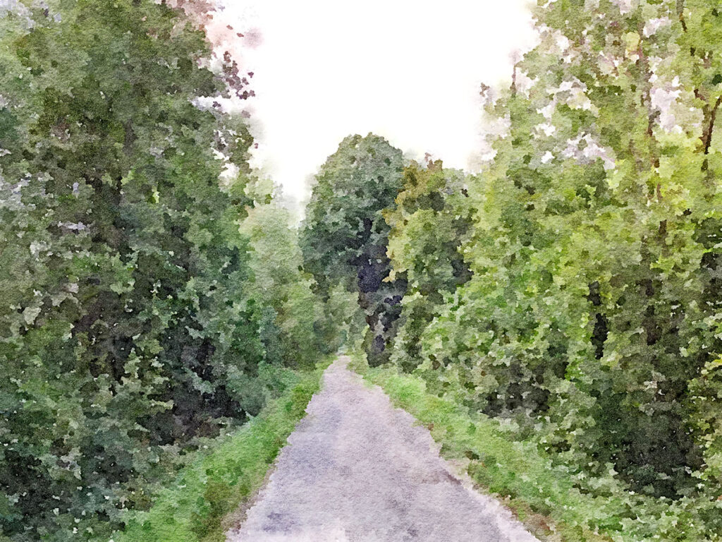 Im Wald bei Le Guiers