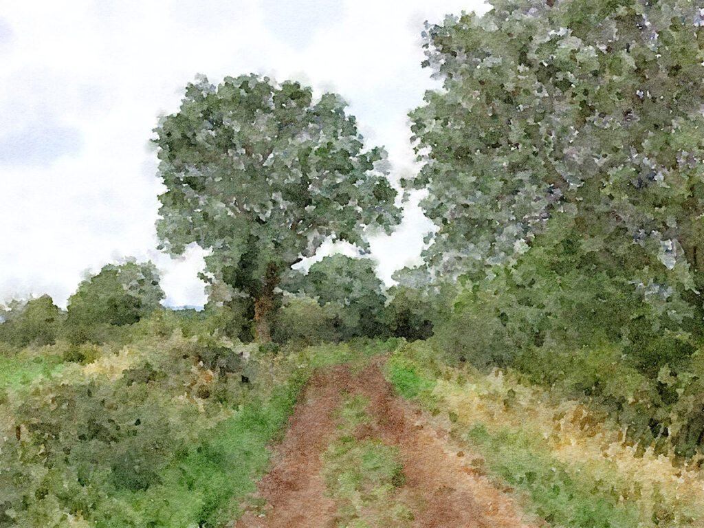 'Natur pur' am Jakobsweg
