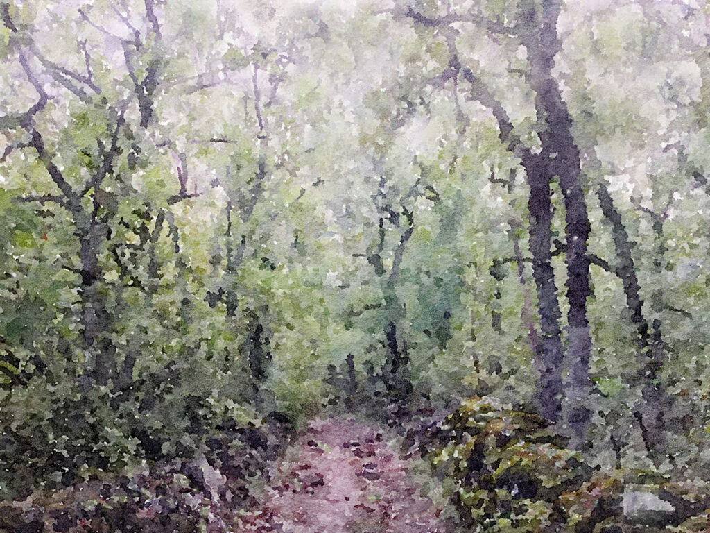 Wald bei Varaire