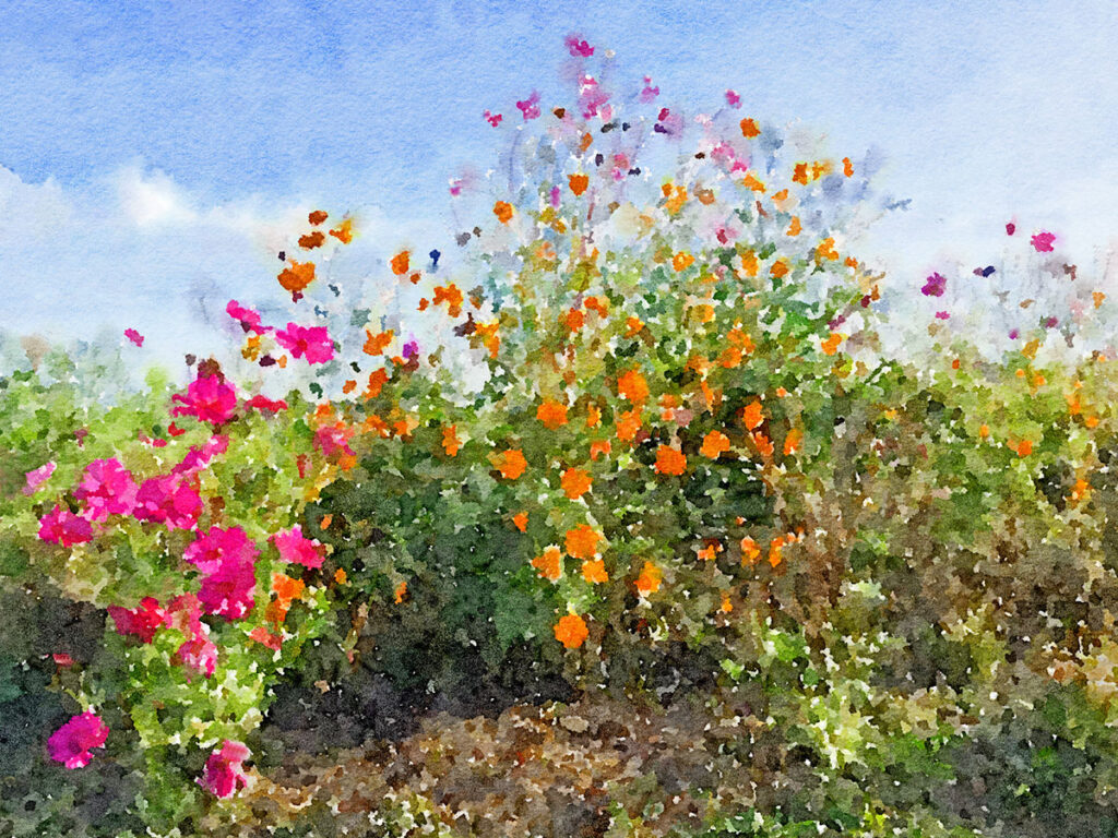 Bauerngarten am Jakobsweg