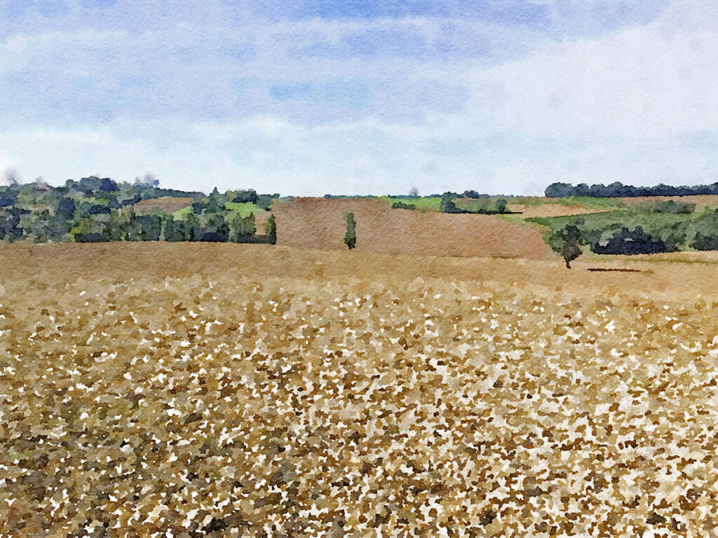 Frisch gepflügte Felder