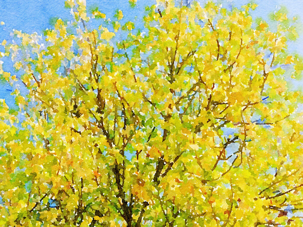 Herbstlaub