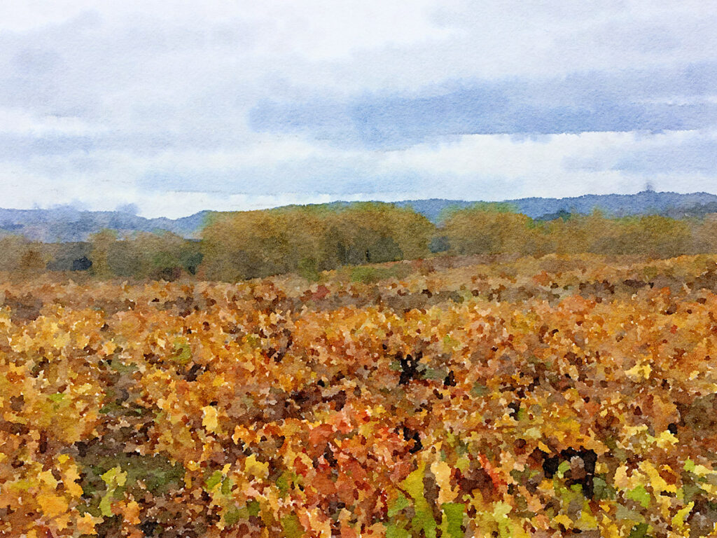 Herbststimmung am Jakobsweg