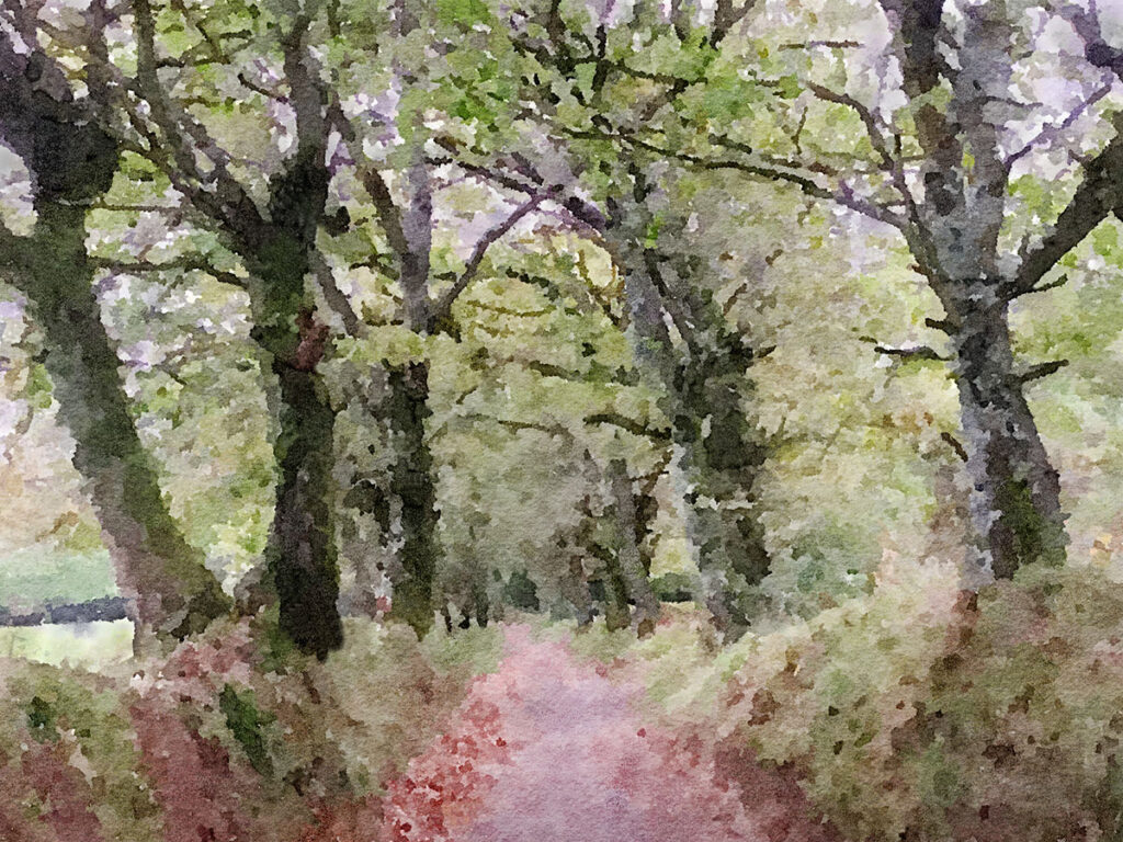 Schöner galicischer Waldweg