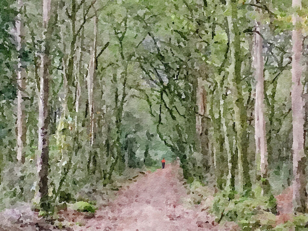 Weg zum Kap Finisterre